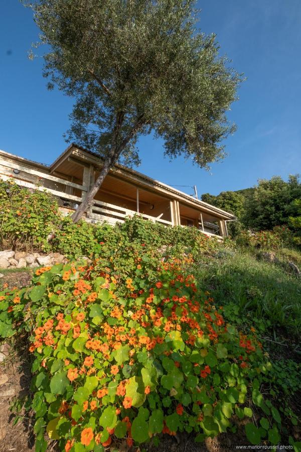 Villa Les Terrasses De Scaglioli Villanova Exterior foto